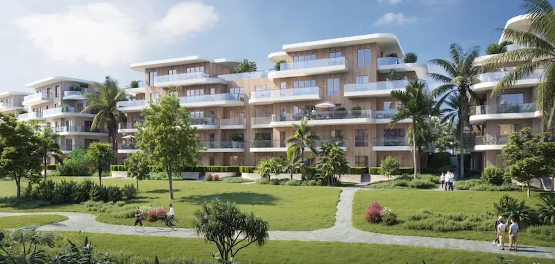 Compound Elm Tree October