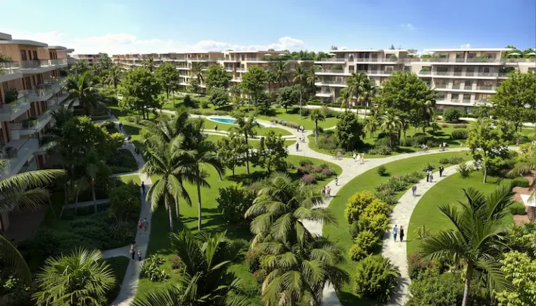 Compound Elm Tree October